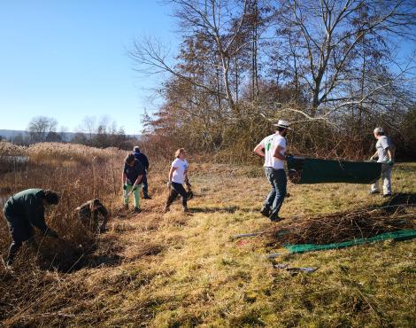 chantier nature
